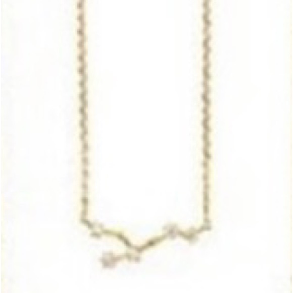 Wanderlust & Co Zodiac Necklace - Picture 9 of 13